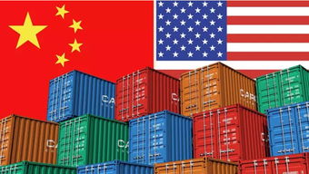 上海國內貿易代理 機遇與挑戰并存的區域經濟支柱